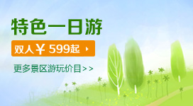 ��ϵ����